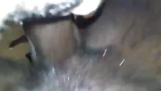 Bang Bros থেকে গরম আমিরাহ আদারার সাথে সেক্স ভিডিও বাংলাদেশি ওরাল স্ক্রু